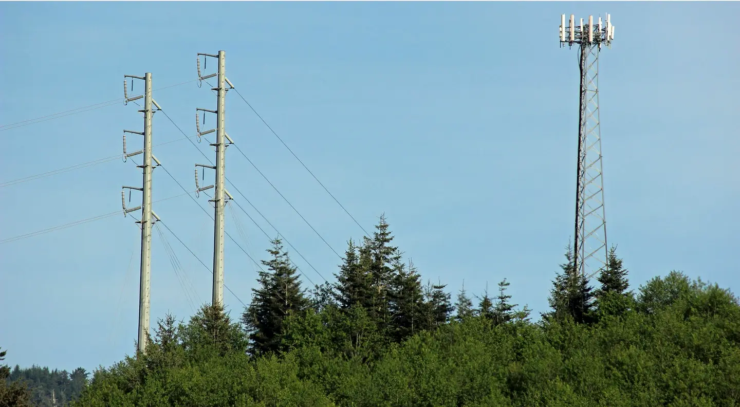 Steel poles and a lattice cell tower rising above an evergreen hillside